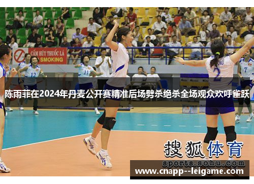 陈雨菲在2024年丹麦公开赛精准后场劈杀绝杀全场观众欢呼雀跃