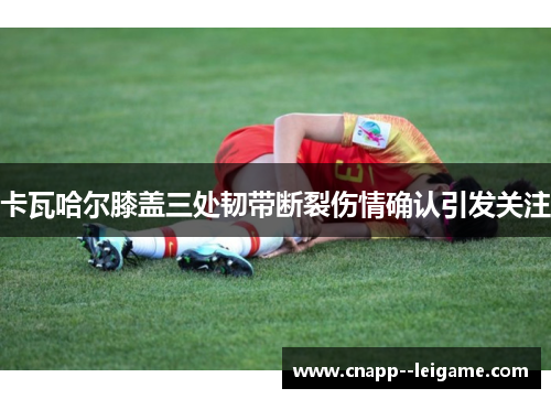 卡瓦哈尔膝盖三处韧带断裂伤情确认引发关注